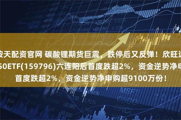 按天配资官网 碳酸锂期货巨震,跌停后又反弹!欣旺达跌超11%,电池50ETF(159796)六连阳后首度跌超2%,资金逆势净申购超9100万份!